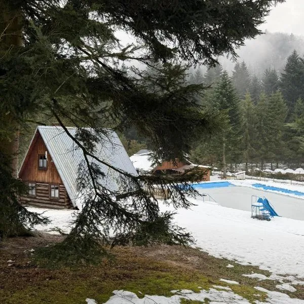 OW Wisan, hotel in Baligród