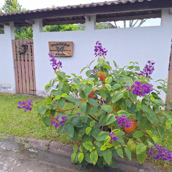Pousada Borboleta azul a sua opção somos alternativas e ecológico - Foto 5