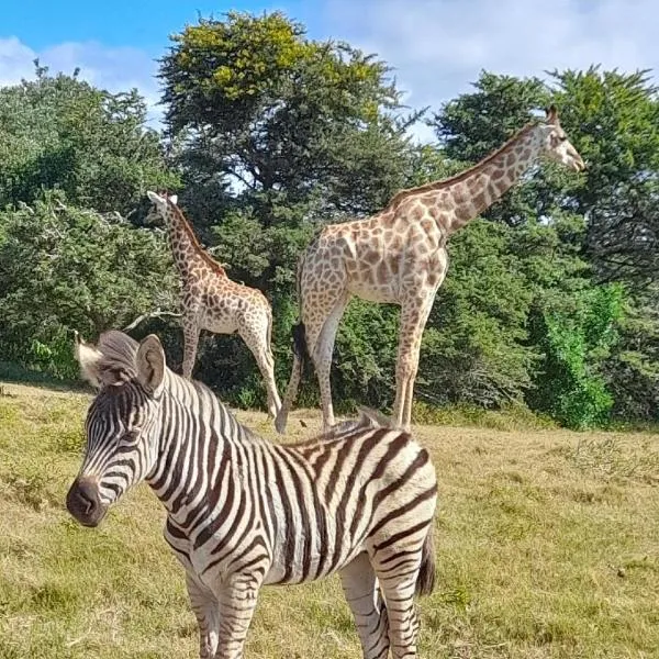 Zebra Crossing, hotel en Boesmansriviermond