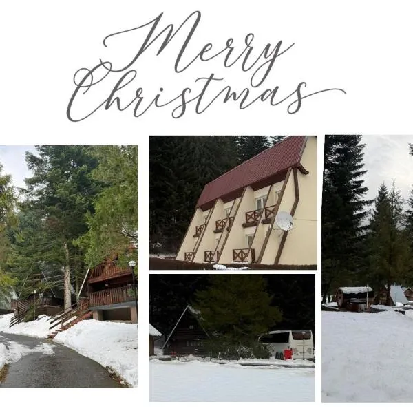 OW Wisan, ξενοδοχείο σε Baligrod