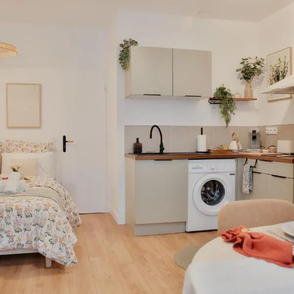 Cœur de ville Le Petit Châteauvert, hotel in Valence