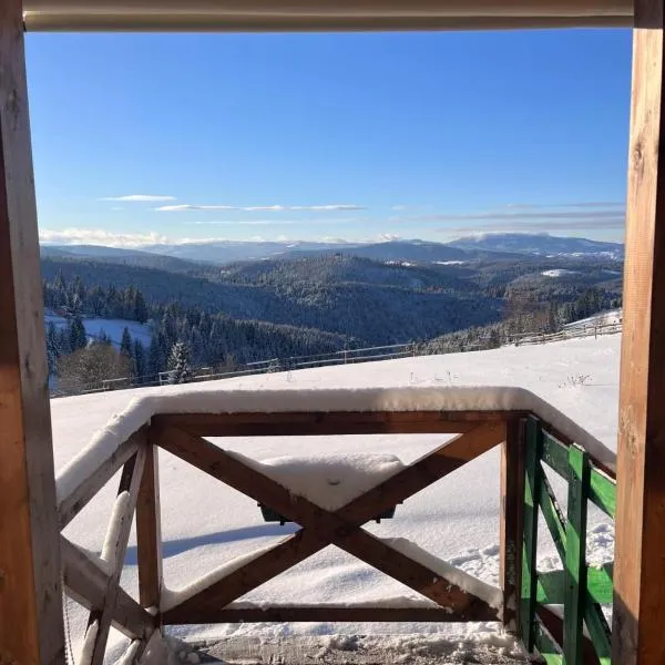 Tiny House Casuta Schiorului 2, Mărișel Apuseni，位于马里瑟尔的酒店