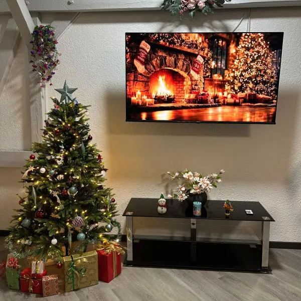 Oppiner Straße 14 Trotha4, hotel v destinaci Halle