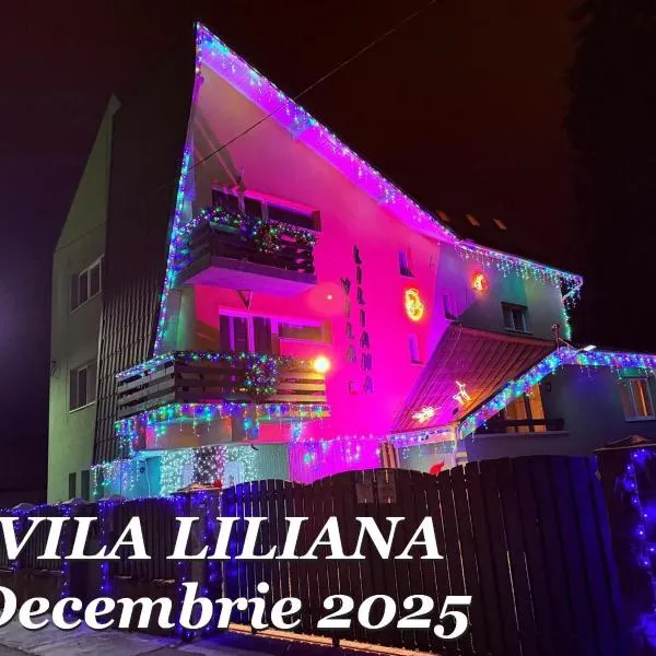 Vila Liliana, ξενοδοχείο σε Predeal