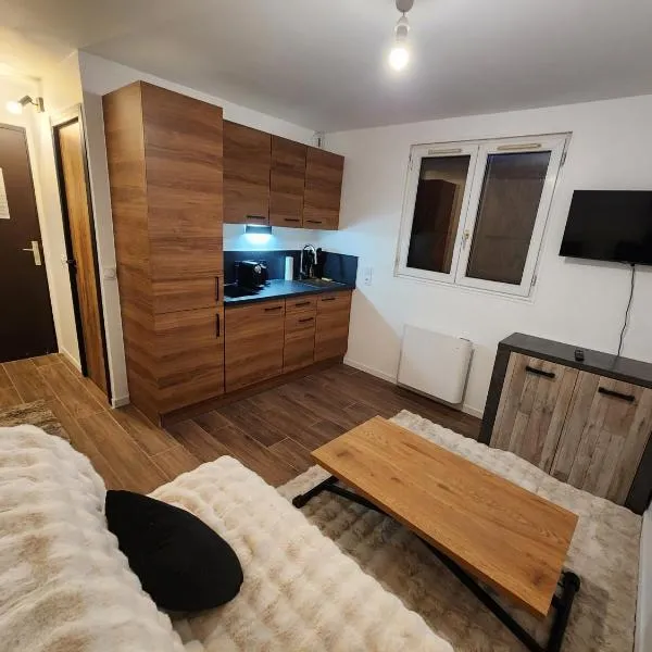 studio ski aux pieds avec parking couvert, hotel in Les Deux Alpes