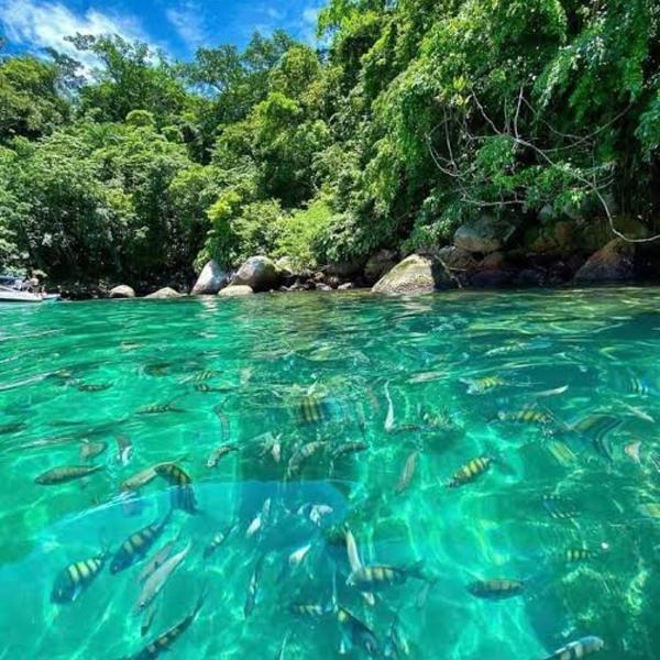 Carnaval Boat Tour - Foto 4