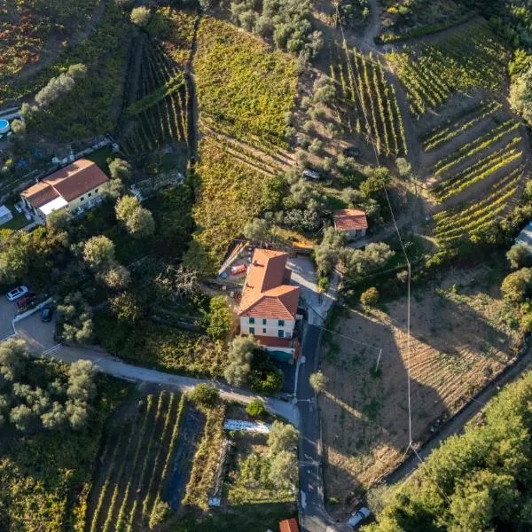 Agriturismo La Collina Verde, hotel Levantóban