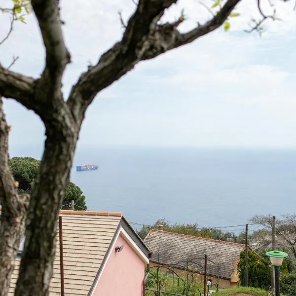 La casa tra gli ulivi, hotel in Genova
