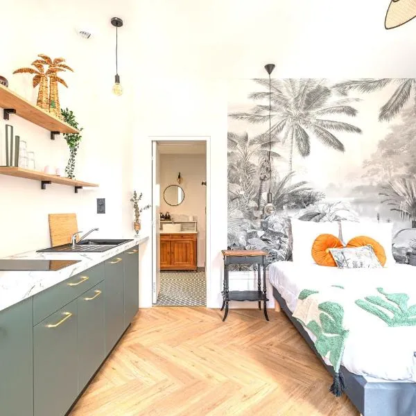 Le Félix Appart'Hotel, centre ville Romans-sur-Isère, hotel in Romans-sur-Isère