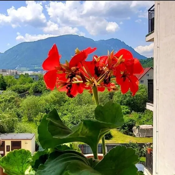 Panoramic Residence, hotel din Zărneşti