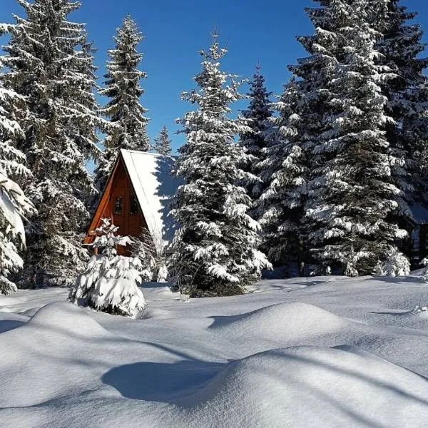 ZlatAir Eco Chalet、ノヴァ・ヴァロシュのホテル