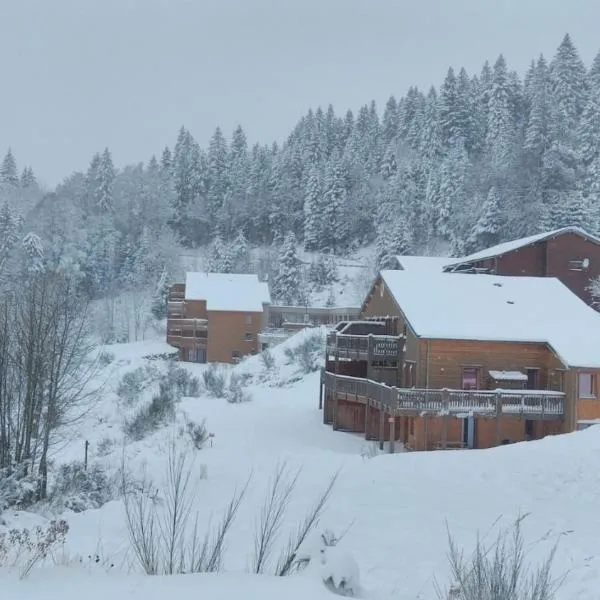 Rev2 Montagne, viešbutis mieste La Bresse