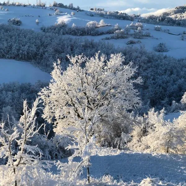 Riserva Del Frignano Appartaments, hotel en Pavullo nel Frignano