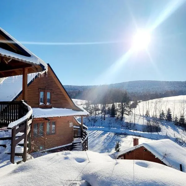 Bieszczadzki Ośrodek Wypoczynkowo Konferencyjny DANFARM, ξενοδοχείο σε Ustrzyki Dolne