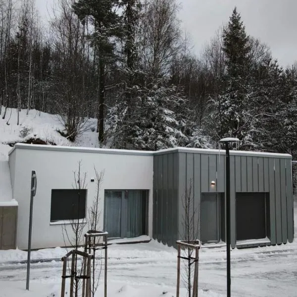 Lebenski Residence Tatras Exclusive Apartment，位于斯塔利斯莫克维克的酒店