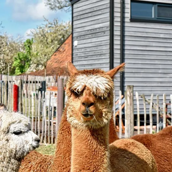 Tiny House Alpakablick - inklusive gratis Alpaka Meet & Greet, hotel v destinaci Borken