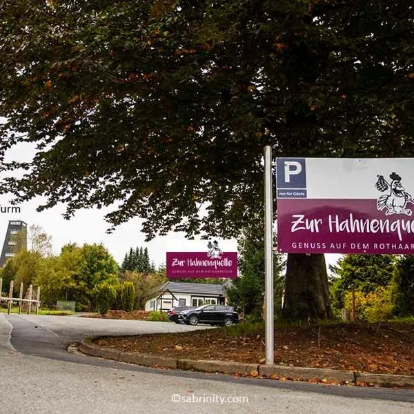 Gaststätte Zur Hahnenquelle, hotel in Kirchhundem