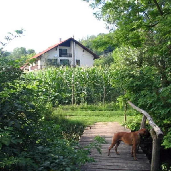 Erdőalja-Padlástér, hotel in Jásd