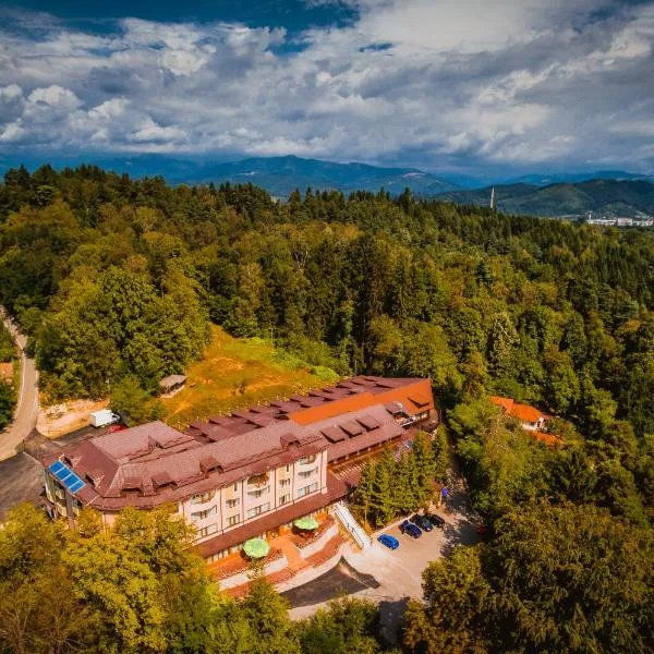 큼풀룬그에 위치한 호텔 Hotel Ciobanasu