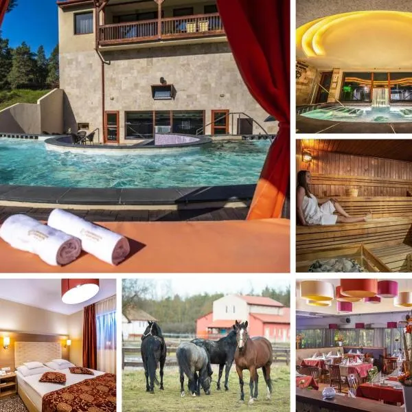 Erdőspuszta Club Hotel Fenyves, hotel in Debrecen