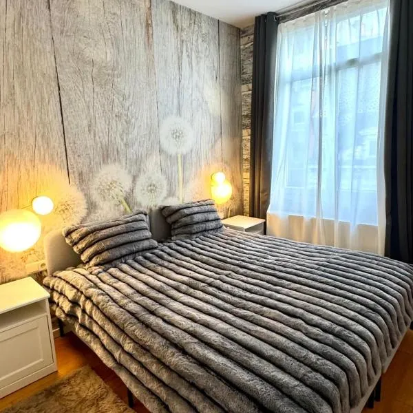 The Cozy Louise Nest，布魯塞爾的飯店