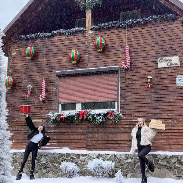 Cabana Oana 5-bedrooms chalet, hotel in Arad