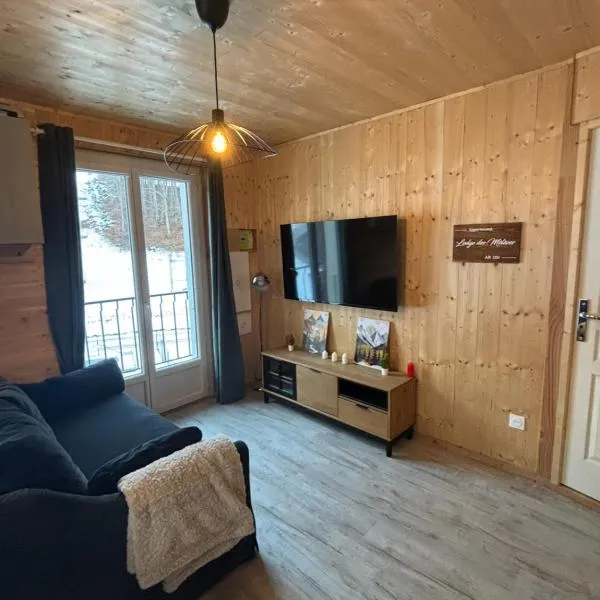 Lodge des Mélèzes, hotel em Ancelle