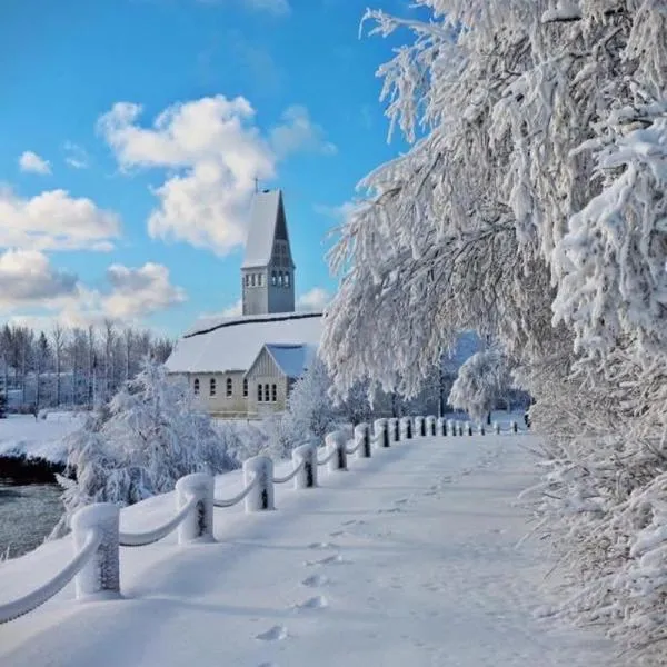 梭里斯同公寓，位于塞尔福斯的酒店