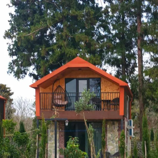Iveria Parky and cottages, hotel v mestu Shekhvetili