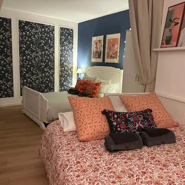 Charming apartment in the heart of Colmar, Hotel in Colmar