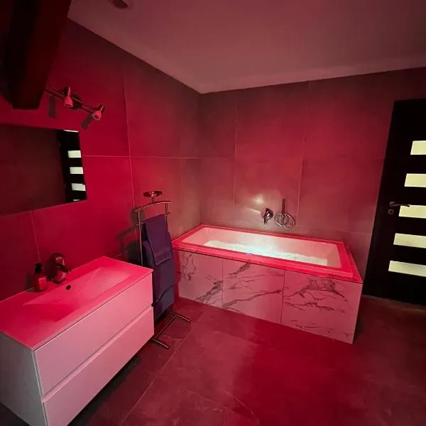 Apartmán 3KK 80 m2 s vířivkou a saunou, hotel in Jihlava