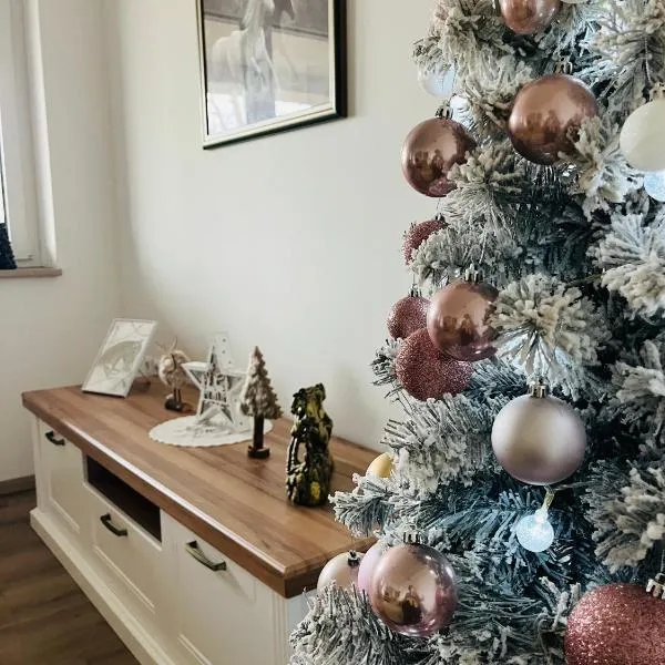 Apartment Country House Zaton，位于Tišina的酒店