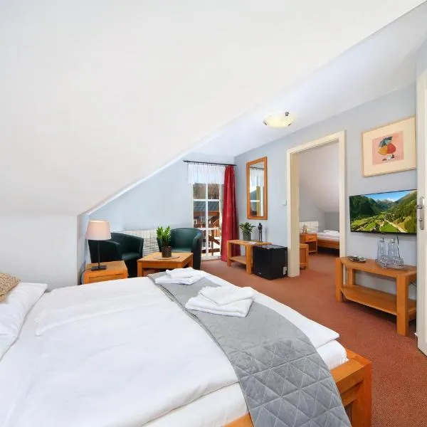 Hotel Erika, hotel v destinaci Špindlerův Mlýn