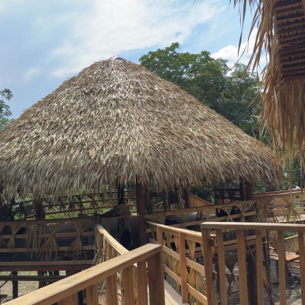 Hotel Arara Azul