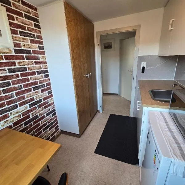 Central studio apartment stgallen gratis Parkplatz, hotel St. Gallenben