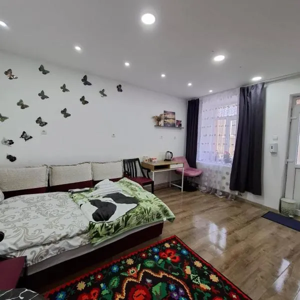 Catalina Apartment, hotel in Dej