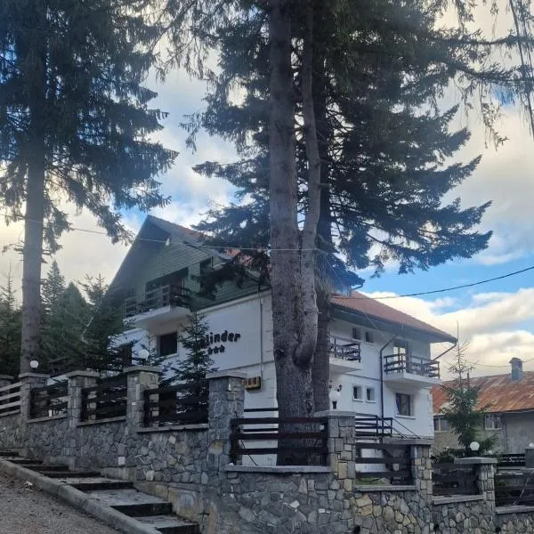 Pensiunea Kalinder, hotel en Bușteni