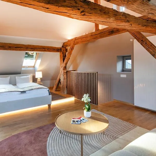 Hotel Roter Ochsen, hotel en Solothurn