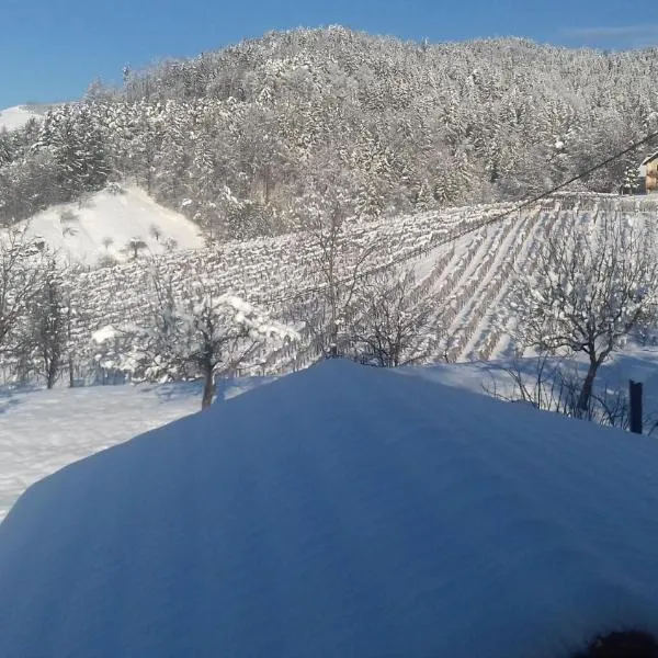 Rural Retreat - Comfort Oasis, hotel v destinaci Oplotnica