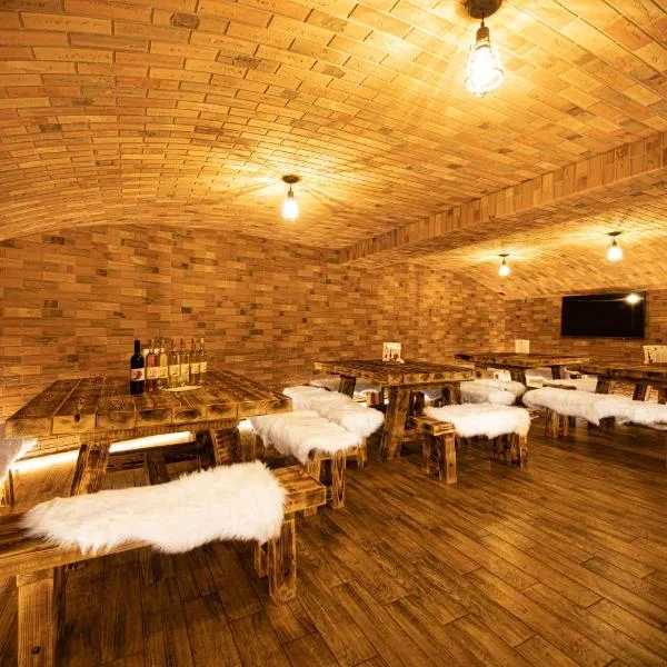 Penzion Šarlota & Vinařství Vítek Josef، فندق في موتينيتسا