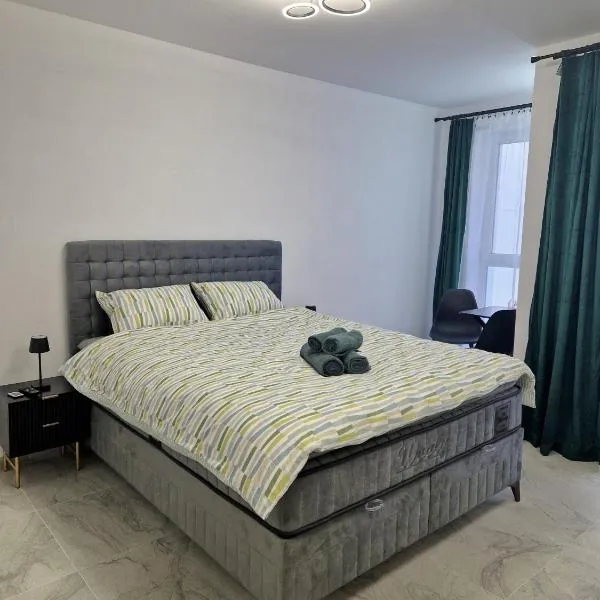 Osan Comfort Studio, Hotel in Baia Mare