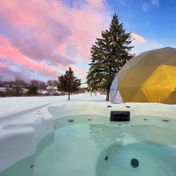DayDreamer Domes, hotel a South Haven