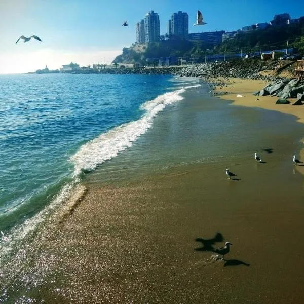 Departamento 2 dormitorios parking incluido, hotel i Valparaíso