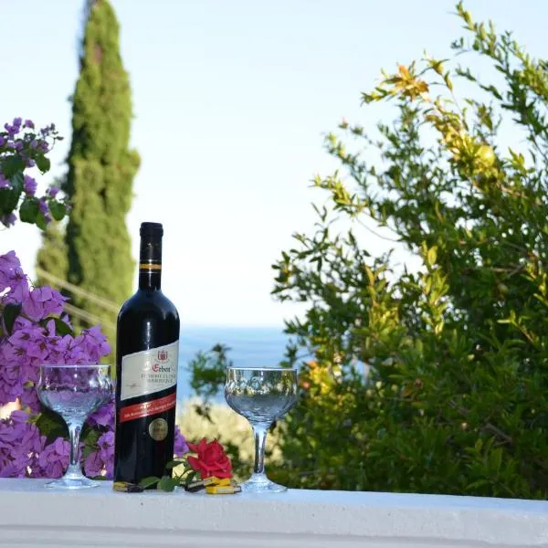 Apartment Dragovic, hotel v destinaci Ulcinj