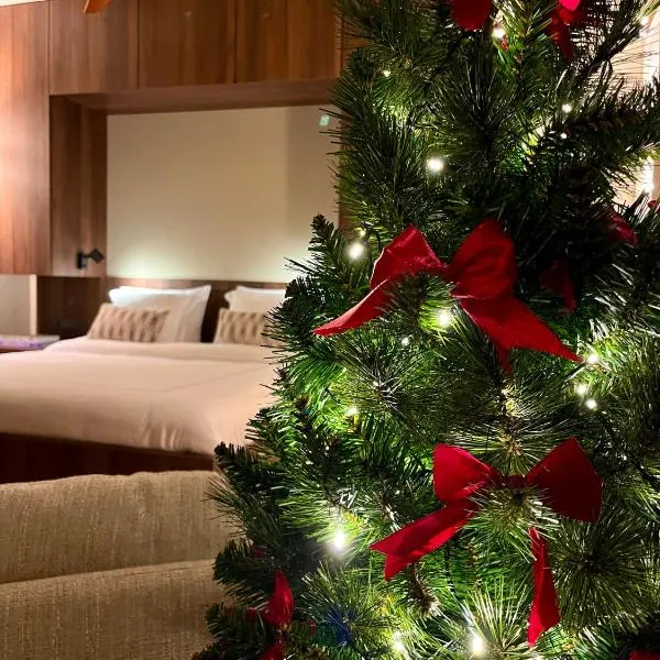 Boutique Studio VO38, ξενοδοχείο σε Άλκμααρ