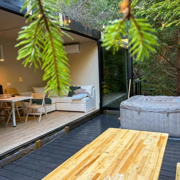 Coniferis, hotel in Tomnatic