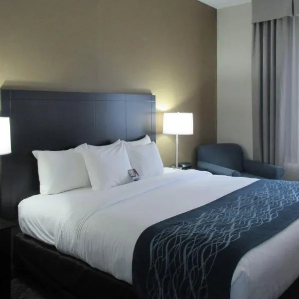 Comfort Inn Port Huron, hotel v destinaci Port Huron