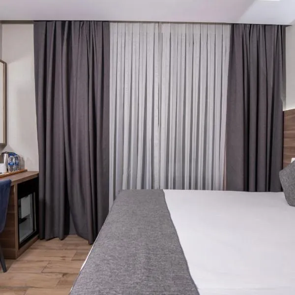 The Omiya Hotel，伊斯坦堡的飯店