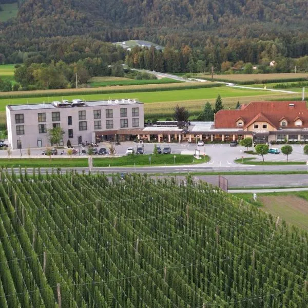 Hotel Grof, hotel in Vransko