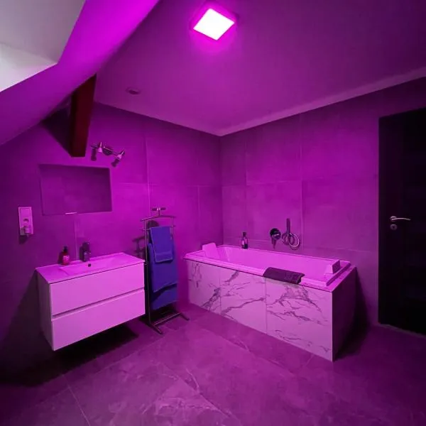 Apartmán 3KK 80 m2 s vířivkou a saunou, hotel in Jihlava